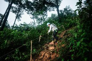 BIB: 
                            <button type="button" onclick="openModal(26203469)" class="btn btn-primary btn-sm float-right btn-popup" data-toggle="modal" data-target=".modal-high-quality">
                        <i class="fas fa-shopping-cart"></i> Add to Cart
                    </button>
                                            <button type="button" onclick="isThisMe(26203469, true)" class="btn btn-success btn-sm float-right btn-popup btn-isme hidden" data-toggle="tooltip" data-placement="bottom" title="นี่คือรูปของคุณใช่ไหม คลิกที่นี่เพื่อเอาเข้าอัลบั้ม">
                        <i class="fas fa-plus"></i> Add to album
                    </button>
                    <button type="button" onclick="isThisMe(26203469, false)" class="btn btn-warning btn-sm float-right btn-popup btn-isnotme hidden">
                        <i class="fas fa-ban"></i> Remove from album
                    </button>